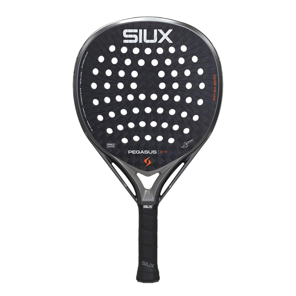 Siux Pegasus Pro 2026